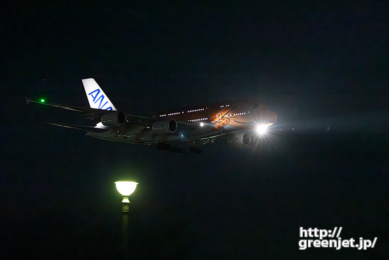 成田で飛行機～夜のさくらの山にホヌ3号機