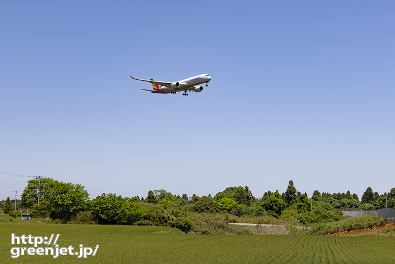 成田で飛行機～田園とアシアナのA350