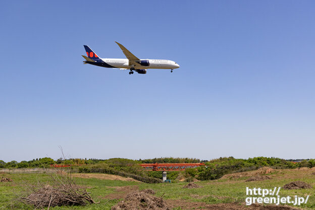 成田で飛行機～緑と枯れ木とエアプレミア