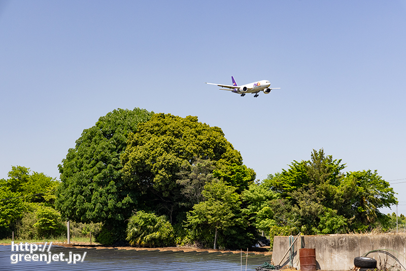 成田で飛行機～巨木の向こうからFedEx
