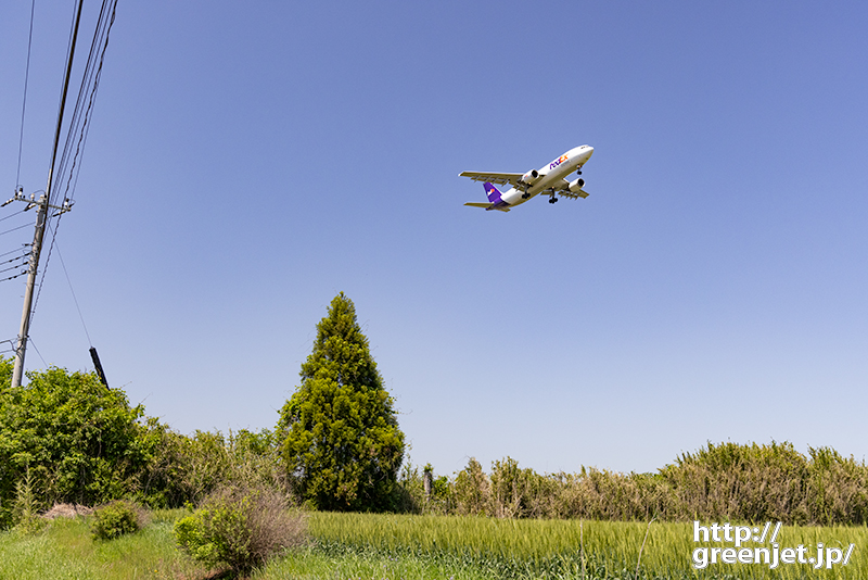 成田で飛行機～木の角度にバッチリだFedEx