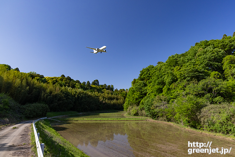 成田で飛行機～田んぼの水面鏡とB787