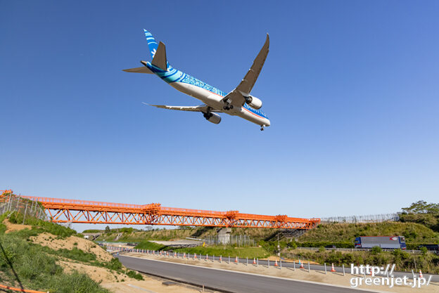 成田で飛行機～タヒチの後姿が美しかった