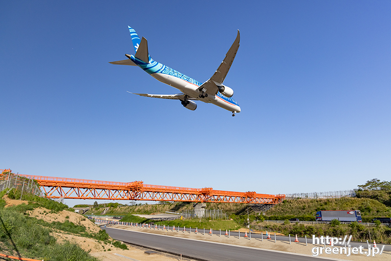 成田で飛行機～タヒチの後姿が美しかった