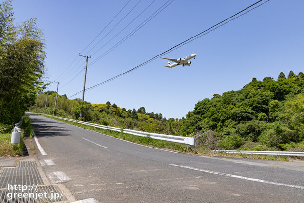 成田で飛行機～道端からフィンのA350