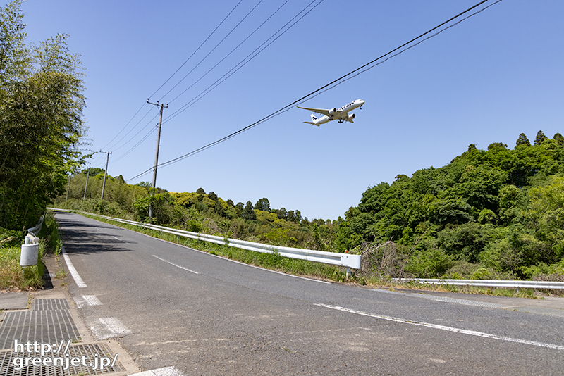 成田で飛行機～道端からフィンのA350