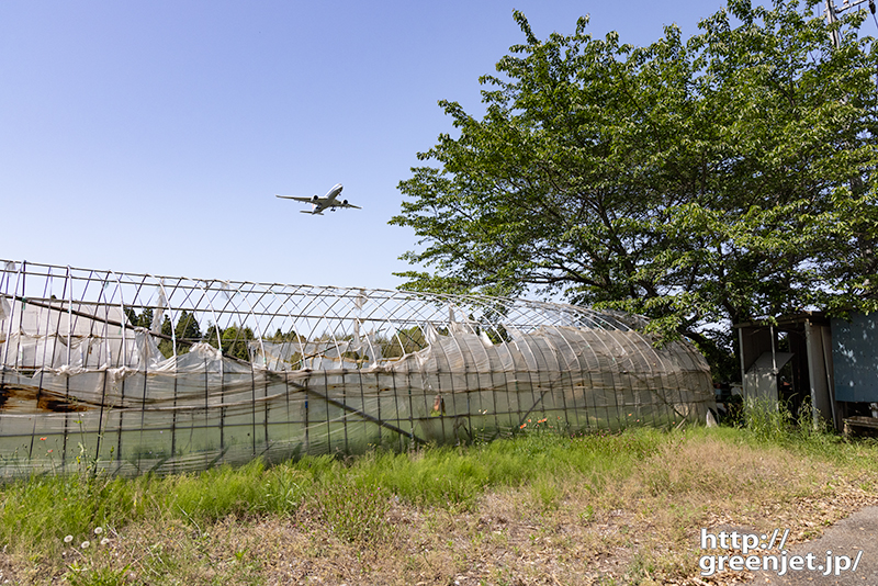 成田で飛行機～むき出しのハウスとあのA350