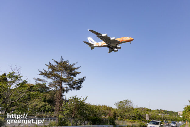 成田で飛行機～オレンジホヌを大通りで待つ