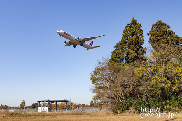 成田で飛行機～大きな木たちとB777