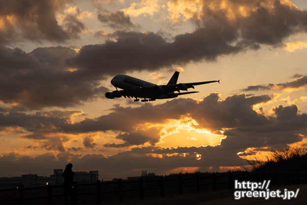 成田で飛行機～夜明けのシンガポールA380