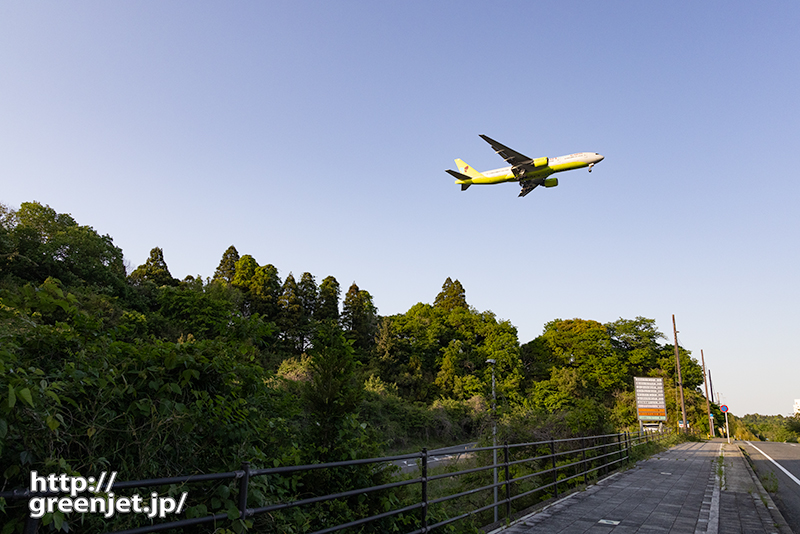 成田で飛行機～西日を浴びて若草色B777