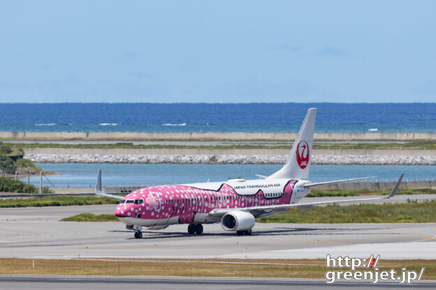 【那覇の飛行機撮影ポイント】国内線展望デッキ北側