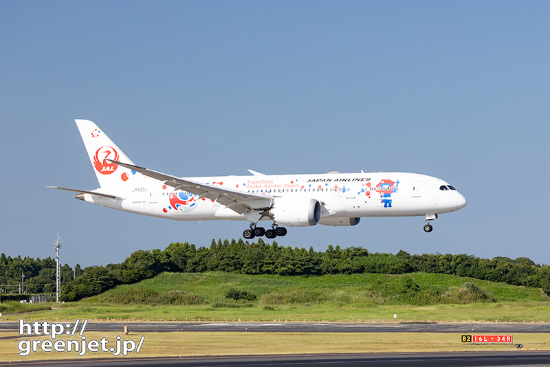 成田で飛行機～JALミャクミャクJET2号機