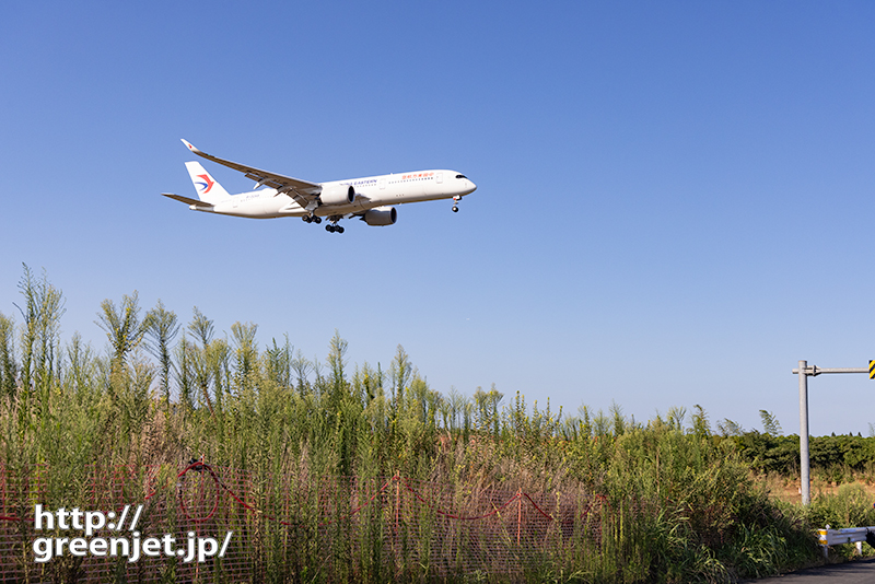 成田で飛行機～ホワイトなA350が美しかった