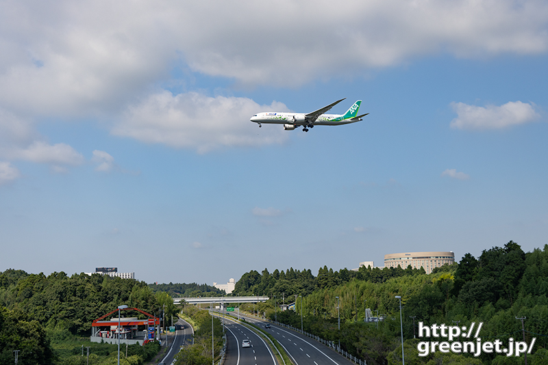 成田で飛行機～ANAグリーンB787に光刺す