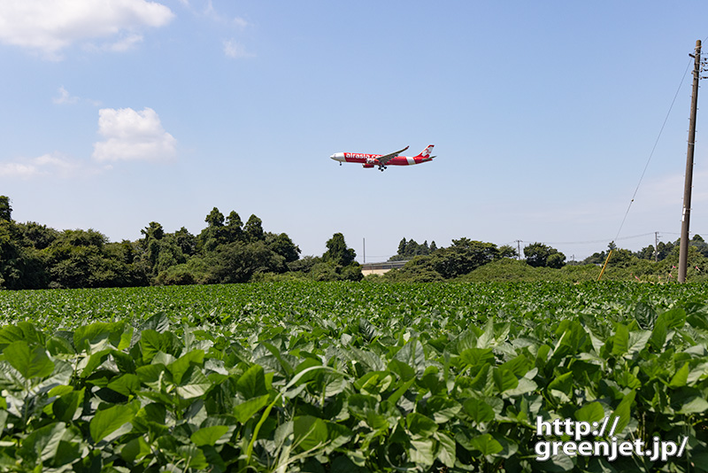 成田で飛行機～真夏の青い畑と赤いA330