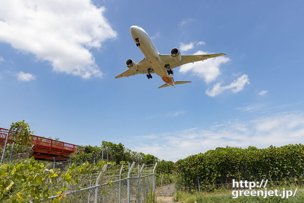 成田で飛行機～エアージャパンB787のお腹