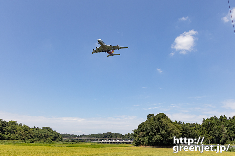 成田で飛行機～スカイライナーとA380