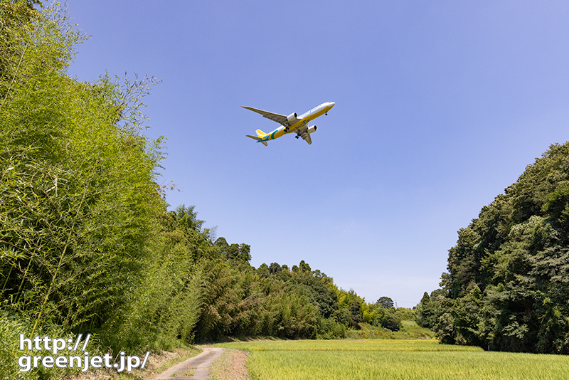 成田で飛行機～稲穂とくねくね道とA330