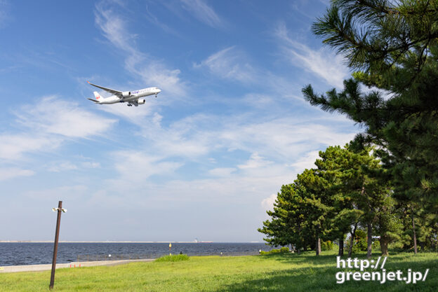 羽田で飛行機～松並木とワンワールドA350