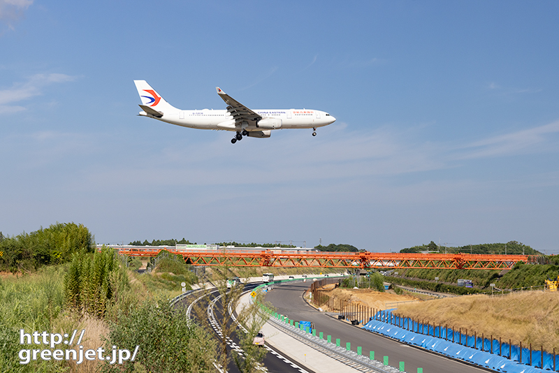 成田で飛行機～草むらから赤い誘導灯とA330