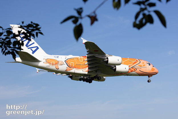 成田で飛行機～哀愁のホヌ3号機