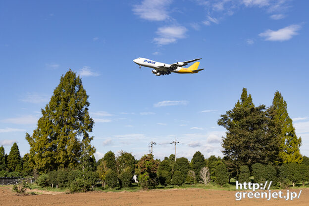 成田で飛行機～高低の木々たちとジャンボ