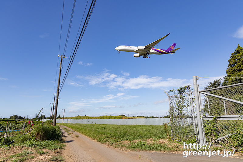 成田で飛行機～あぜ道から眺めるタイA350