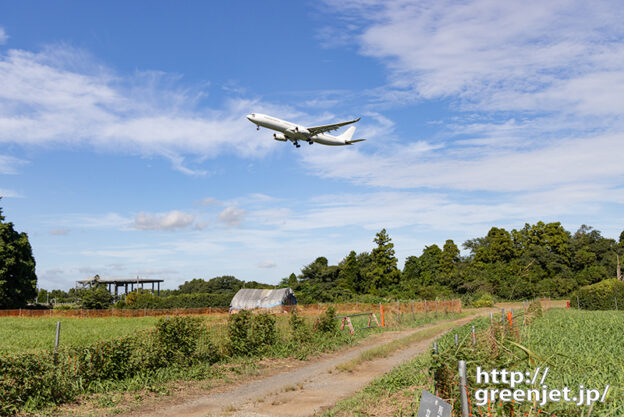 成田で飛行機～森へ通じる道と白いA330