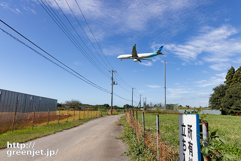 美しい電柱の並びとA330