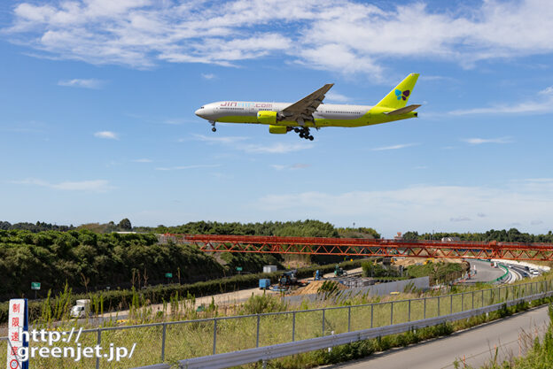 成田で飛行機～ザ・イェローグリーンテイル