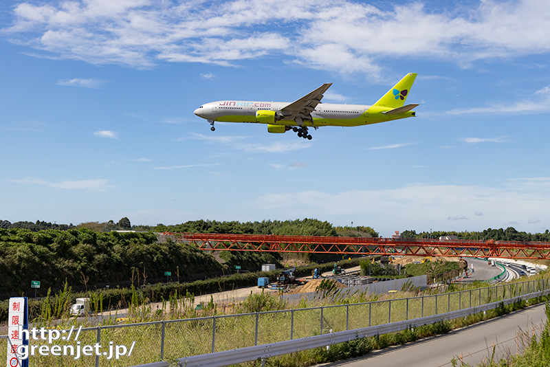 成田で飛行機～ザ・イェローグリーンテイル