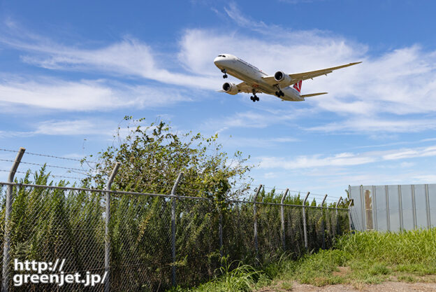 成田で飛行機～フェンス際でターキッシュB787