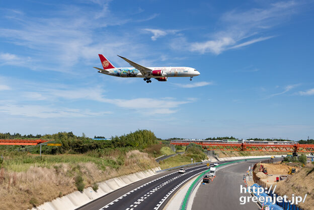 成田で飛行機～吉祥航空の原神号