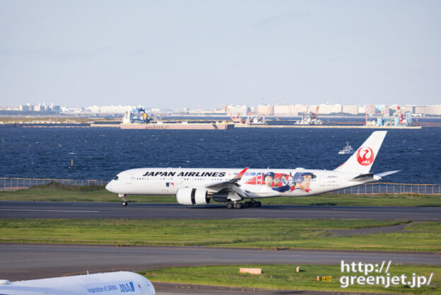 羽田で飛行機～海とDREAM SHO JET