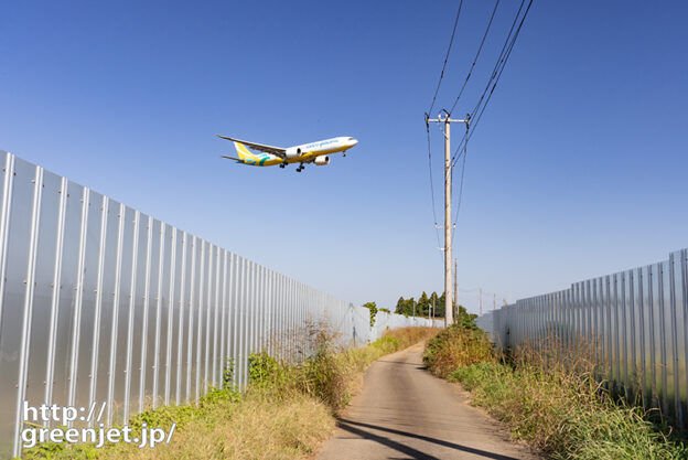 成田で飛行機～フェンス間の小道でセブパシ