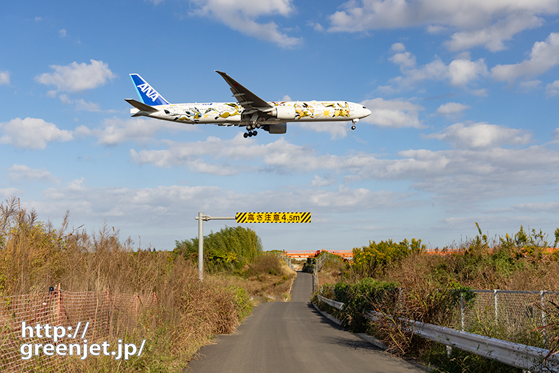 成田で飛行機～締めにポケモントリプル7