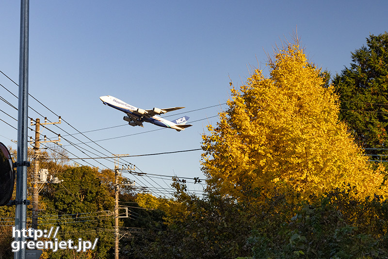 成田で飛行機～夕暮れの黄葉とNCAジャンボ