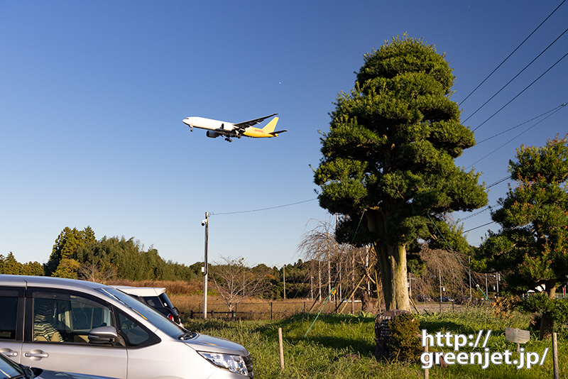 成田で飛行機～堂々たる松とB777F