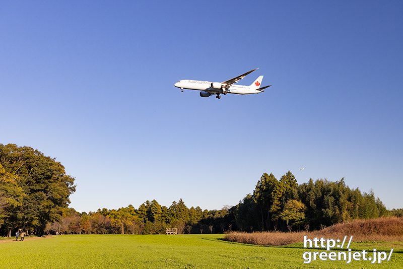 成田で飛行機～緑のじゅうたんとB787