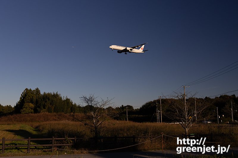 成田で飛行機～ドアンダーで攻めてみたB787