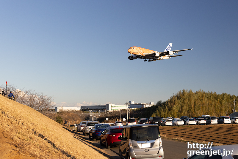 成田で飛行機～車列の上をオレンジ・ホヌ