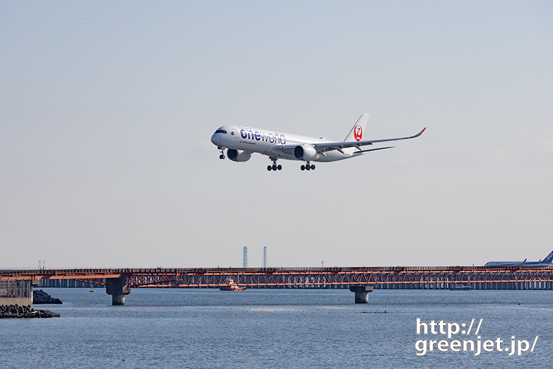 羽田で飛行機～美しいJALワンワールドA350